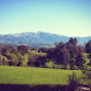 Meet your Posher, Sean